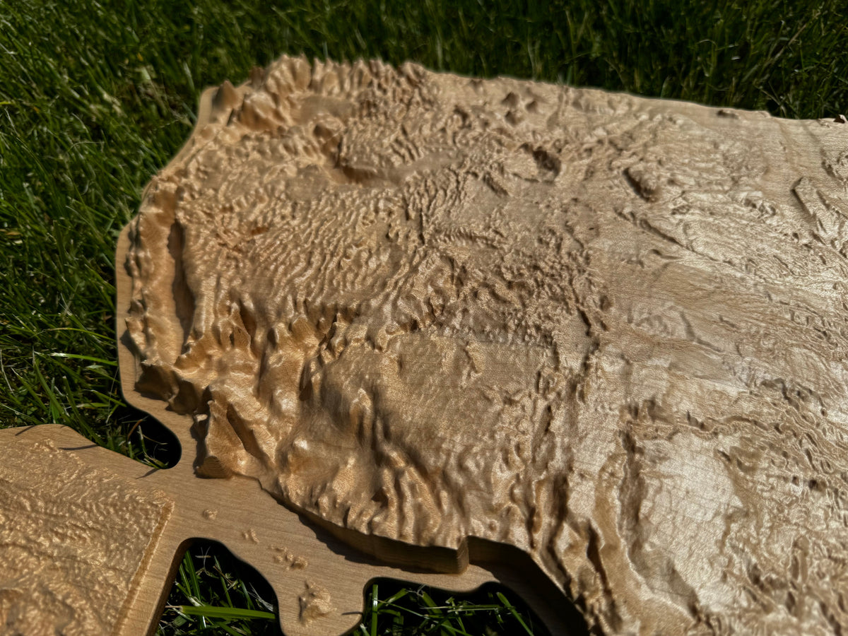 3D USA map Natural, Wooden topographic map — buy | FACTURA
