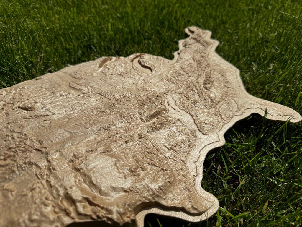 3D USA map Natural, Wooden topographic map — buy | FACTURA